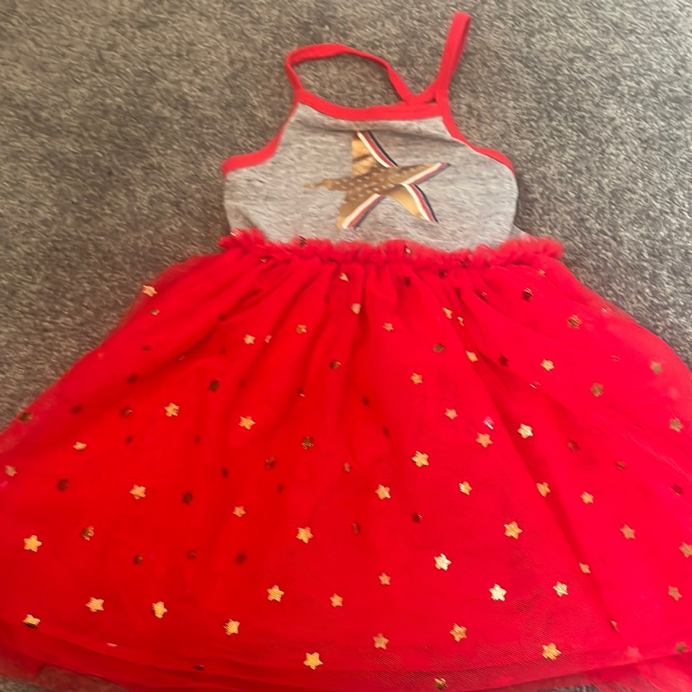 Girls size 2T perfect condition dress